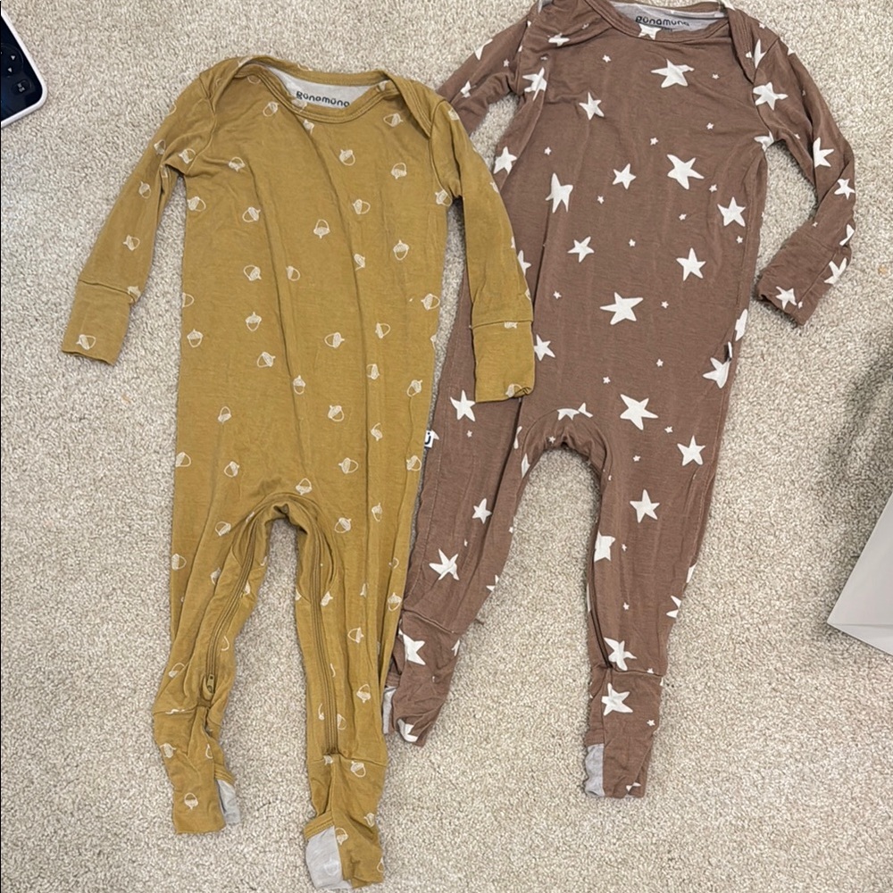 Gunamuna Sleepers